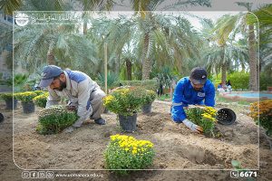 Read more about the article Al-Manara College of Medical Sciences launches a massive afforestation campaign