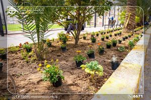 Read more about the article Al-Manara College of Medical Sciences launches large-scale afforestation campaign